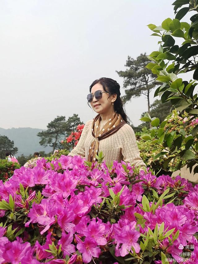 「散文」我心中的大南山（图24）