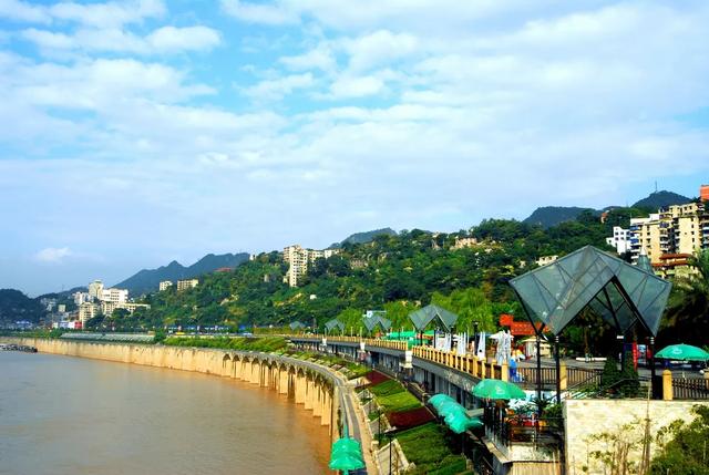「散文」我心中的大南山（图21）
