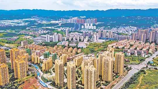 「散文」我心中的大南山（图17）