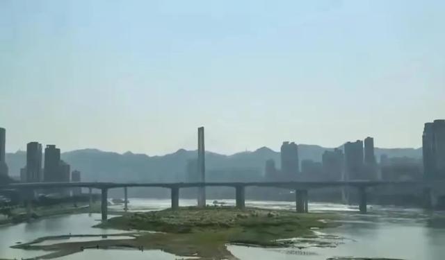 「散文」我心中的大南山（图9）