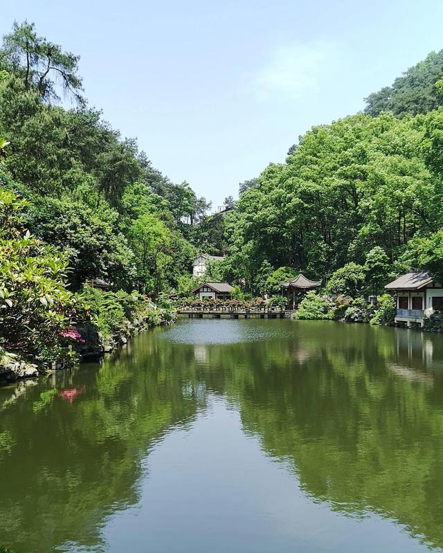 「散文」我心中的大南山（图6）