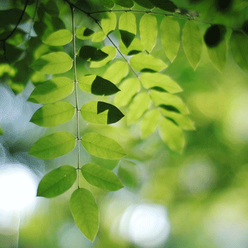 【祈祷】文/马国涛‖诵/燕子【采菊文苑美文美诵】总7924期