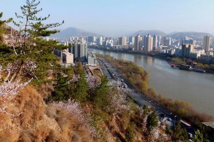 醉春光 文／渝陇之子 京津沪头条（图5）