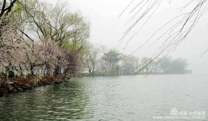《春烟深处的韵律》作者:王明雪（雪歌）【主播:刘树清】【桃源国际诗歌文化传媒】用声音传递温暖以诵读致敬人生♬（图8）