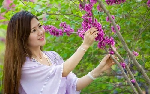 鹧鸪天-东风吹破寒烟云（组合）词||李振林（图12）
