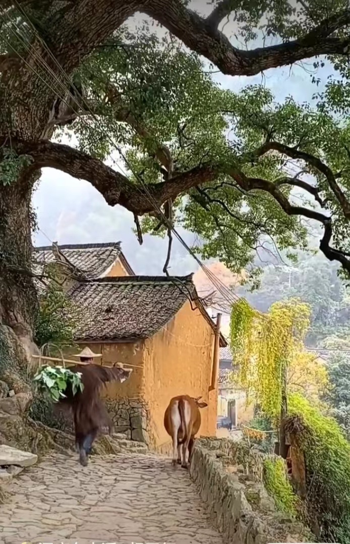 七律-山村烟火～诗||雅轩琴韵（图8）