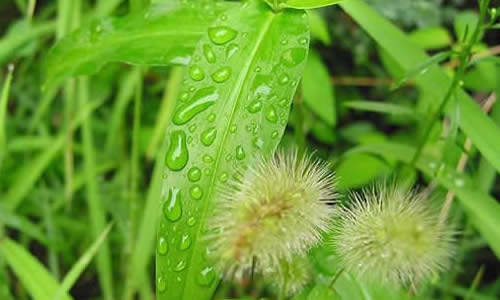 《雨停止了》文/林水火（福建）（图3）
