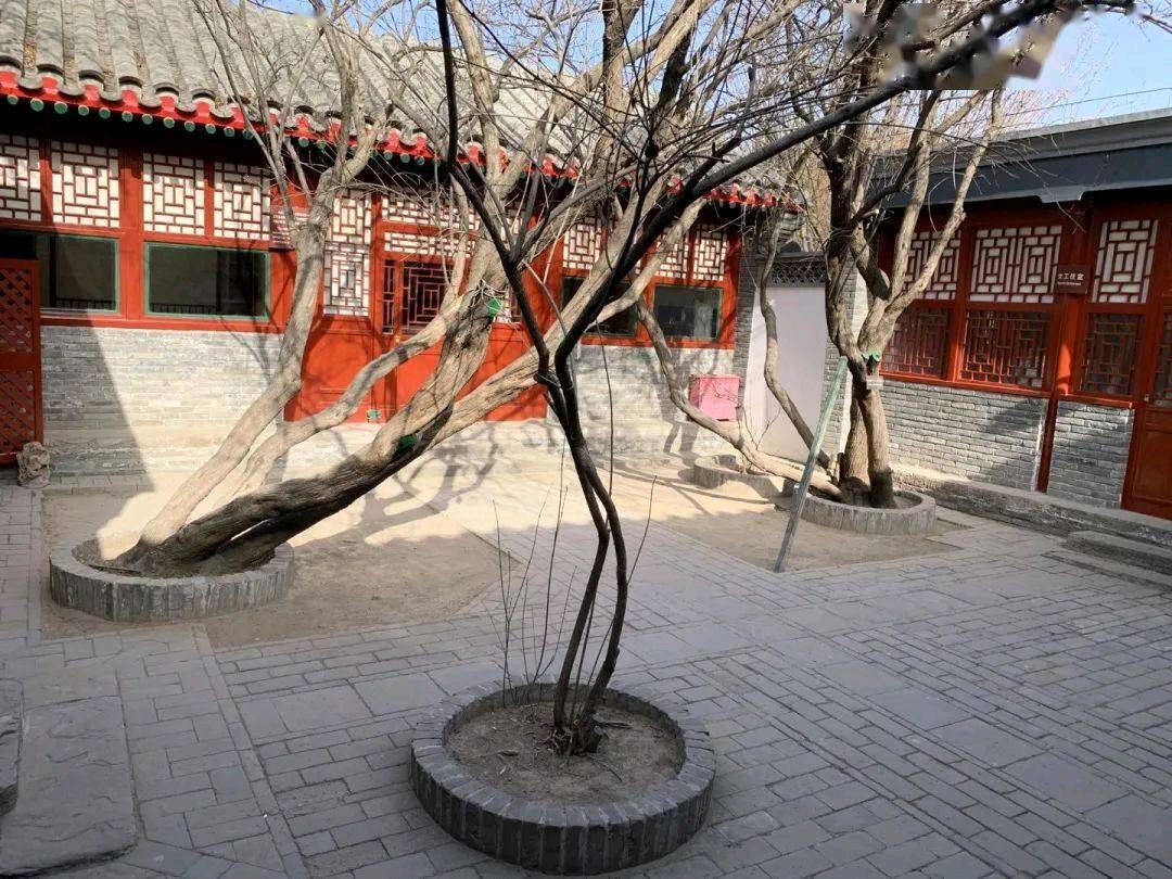 【明心文学】瞻仰鲁迅在北京的故居 作者/申力 主播/舒心快乐(图4)