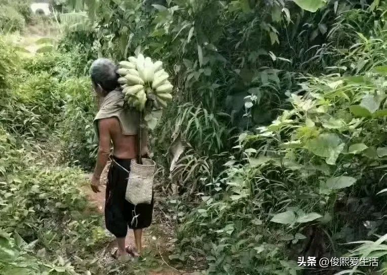 《静静的仙岭郡》作者:刘汉兴。朗读者:鲁冰花。[中国现代诗歌文化传媒]（图6）