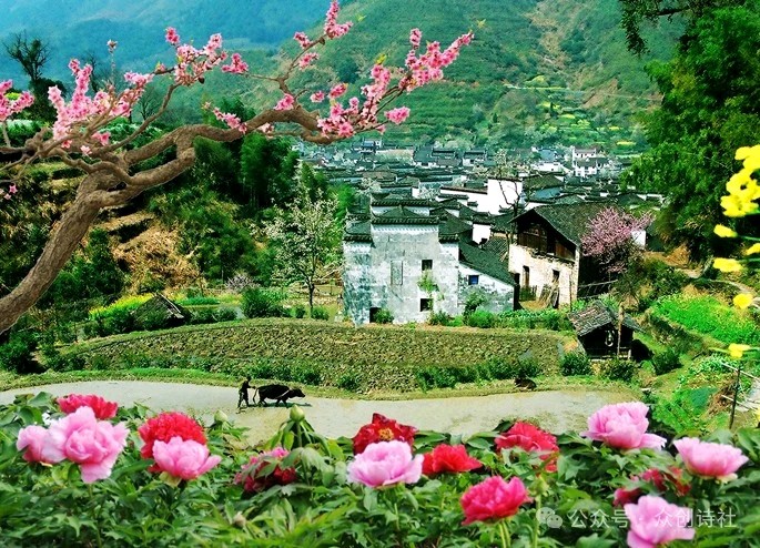 《七律 黄昏时分》作者/吴云钦（图2）