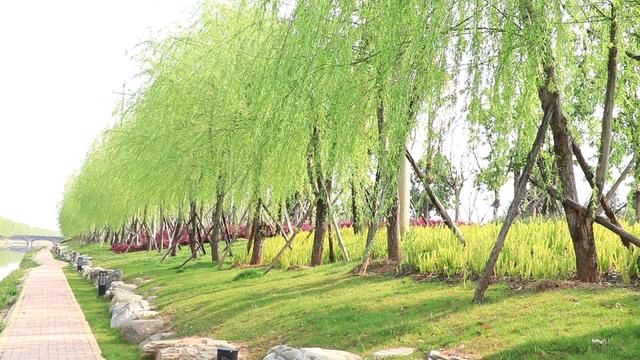 【荣耀中国】七律:农 愁 文/杨柳(图2)