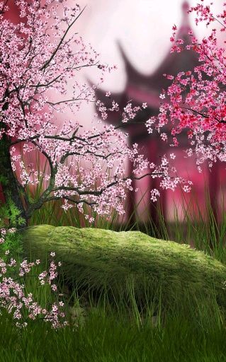 【荣耀中国】杏花吟作者/海洋（图3）