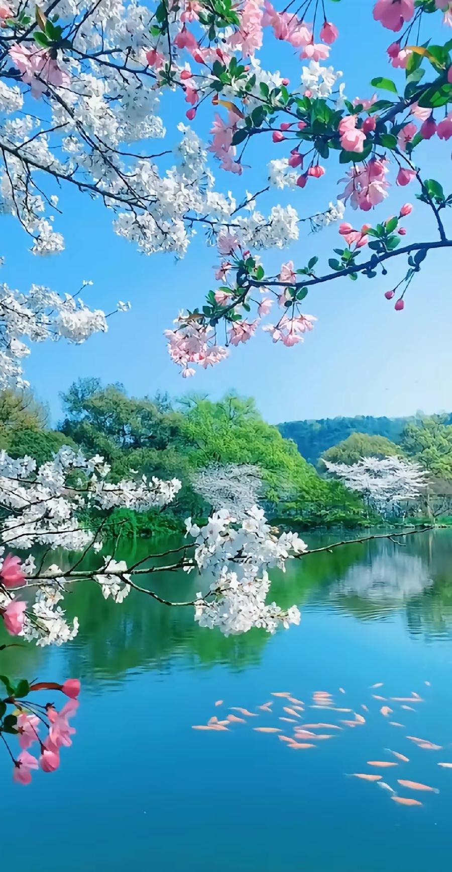 定风坡-醉春～词||杨景儒（图14）