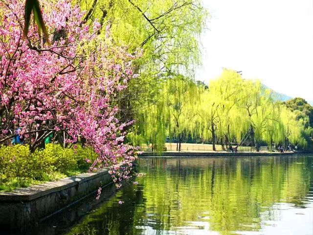 七律 · 惜 春 (平水韵) 文 / 山水逸翁 (王忠森)（图3）