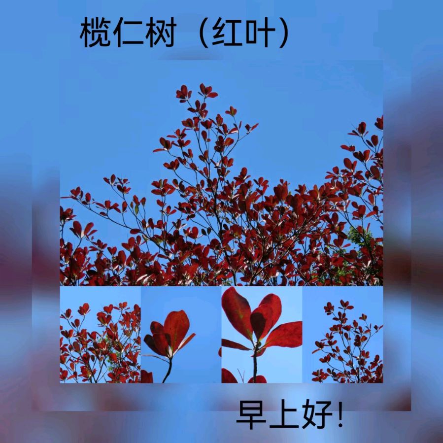 联机全球发布马洪武作品欣赏（图112）