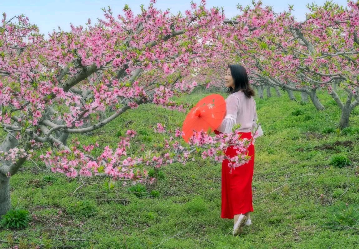 请欣赏六位金牌主播倾情朗诵王道成老师的作品《诗词十一首》编辑//海纳百川【中国长江文学社】有声文学平台【第8400】（图9）