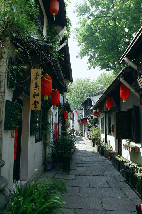 【新山东文学社】《五绝.古城春色十咏》作者/朱守平 主播/红叶（图5）
