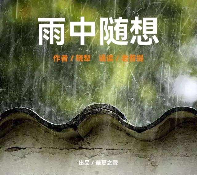 雨中随想ll文/晓犁ll诵/老菩提(图2)