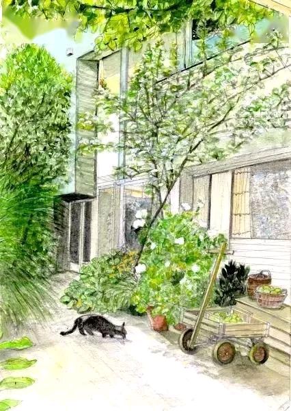 请欣赏《平平淡淡 平平常常》外一首 作者 蓝天风//主播 雨田//编辑 福音 【中国长江文学社】有声文学平台[第8405期]（图4）