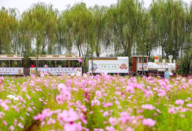 【国学雅韵社】中国石都南山翁（張國盛）诗词欣赏（图4）
