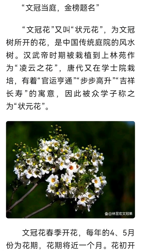 韩庚的《咏文冠花有寄天下学子》