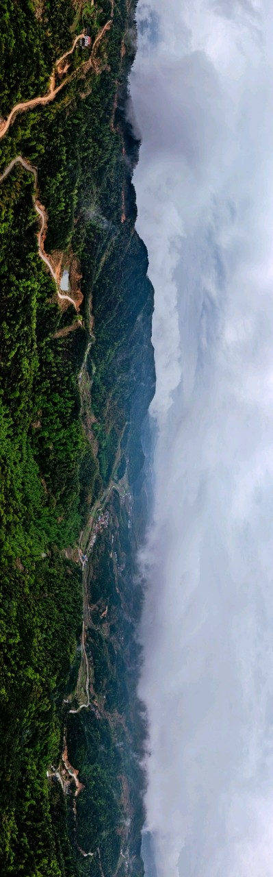 青著禅院主持与佛手山药的故事（图11）