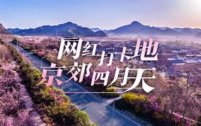 【海外诗译】精品双语朗诵《赏春小诗三首》作者|郑相豪、英译|中权、审译&朗诵|薇薇(图6)