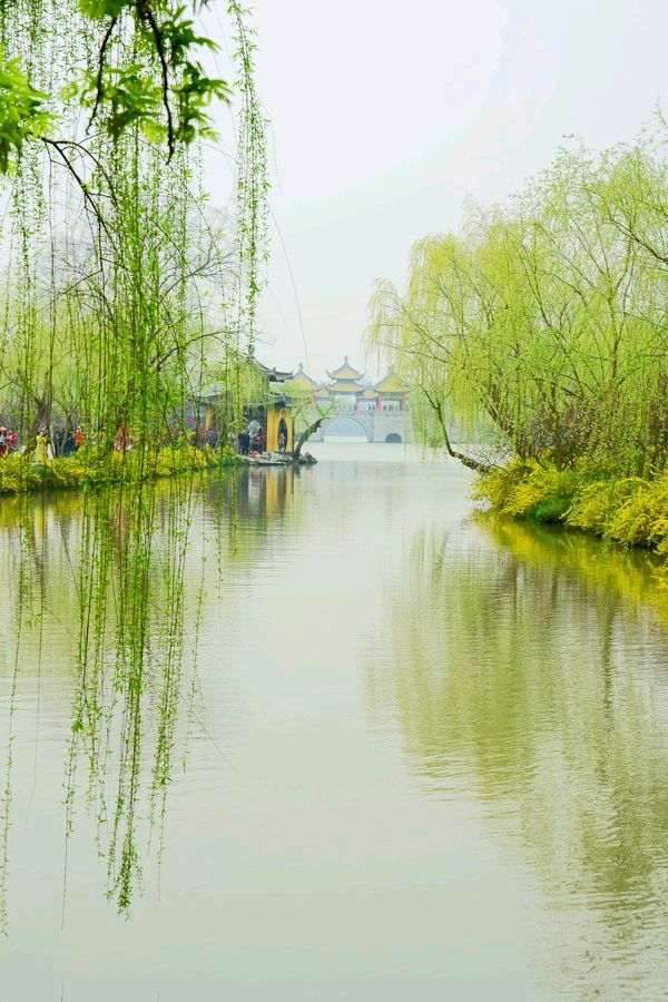 请欣赏五位金牌主播倾情朗诵雨的季节老师的作品《美哉瘦西湖》编辑//海纳百川【中国长江文学社】有声文学平台【第8398期】（图4）