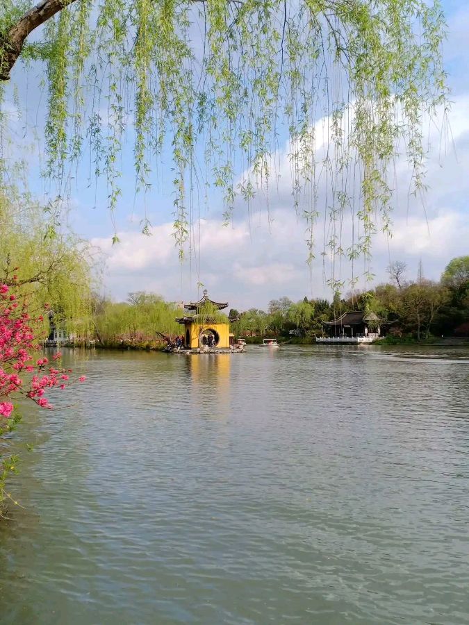 请欣赏五位金牌主播倾情朗诵雨的季节老师的作品《美哉瘦西湖》编辑//海纳百川【中国长江文学社】有声文学平台【第8398期】（图7）