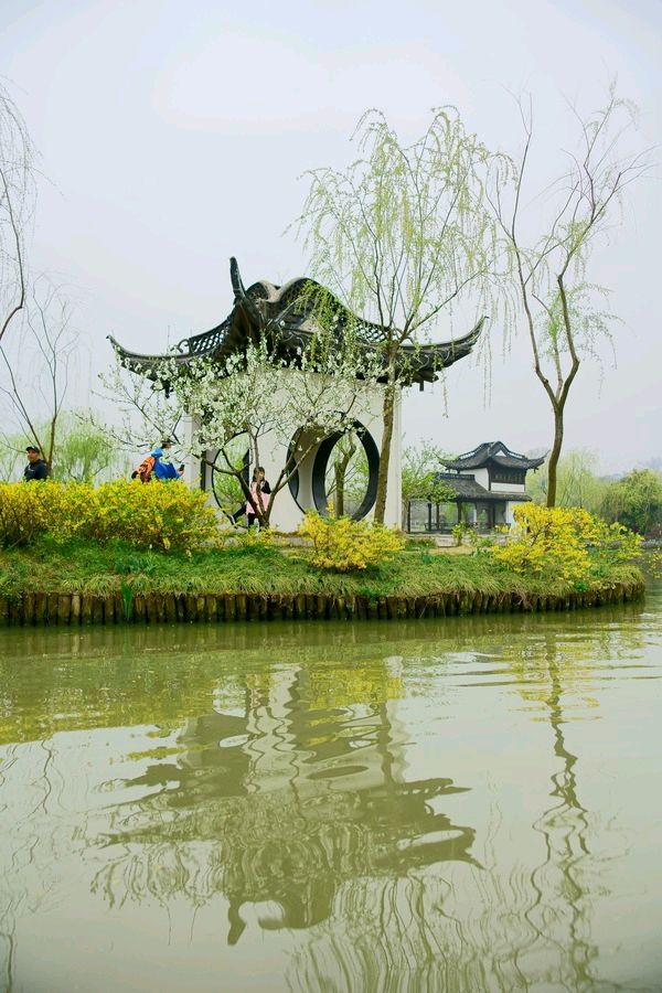 请欣赏五位金牌主播倾情朗诵雨的季节老师的作品《美哉瘦西湖》编辑//海纳百川【中国长江文学社】有声文学平台【第8398期】（图9）
