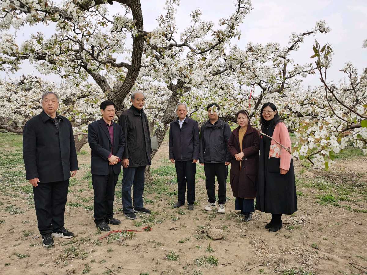 特刊：古梨园赏花-中华诗经阁采风团诗联｜视频｜图片集锦（图3）