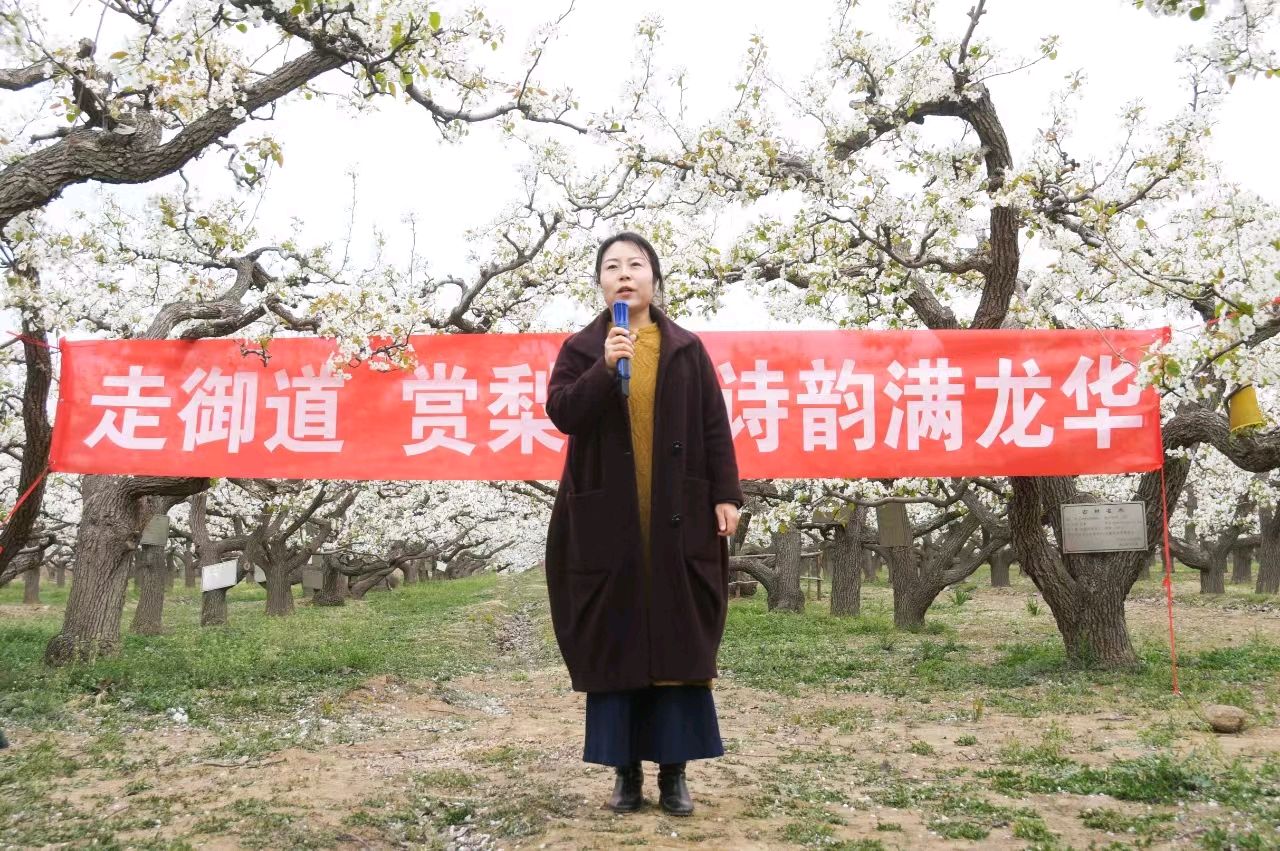 特刊：古梨园赏花-中华诗经阁采风团诗联｜视频｜图片集锦（图6）