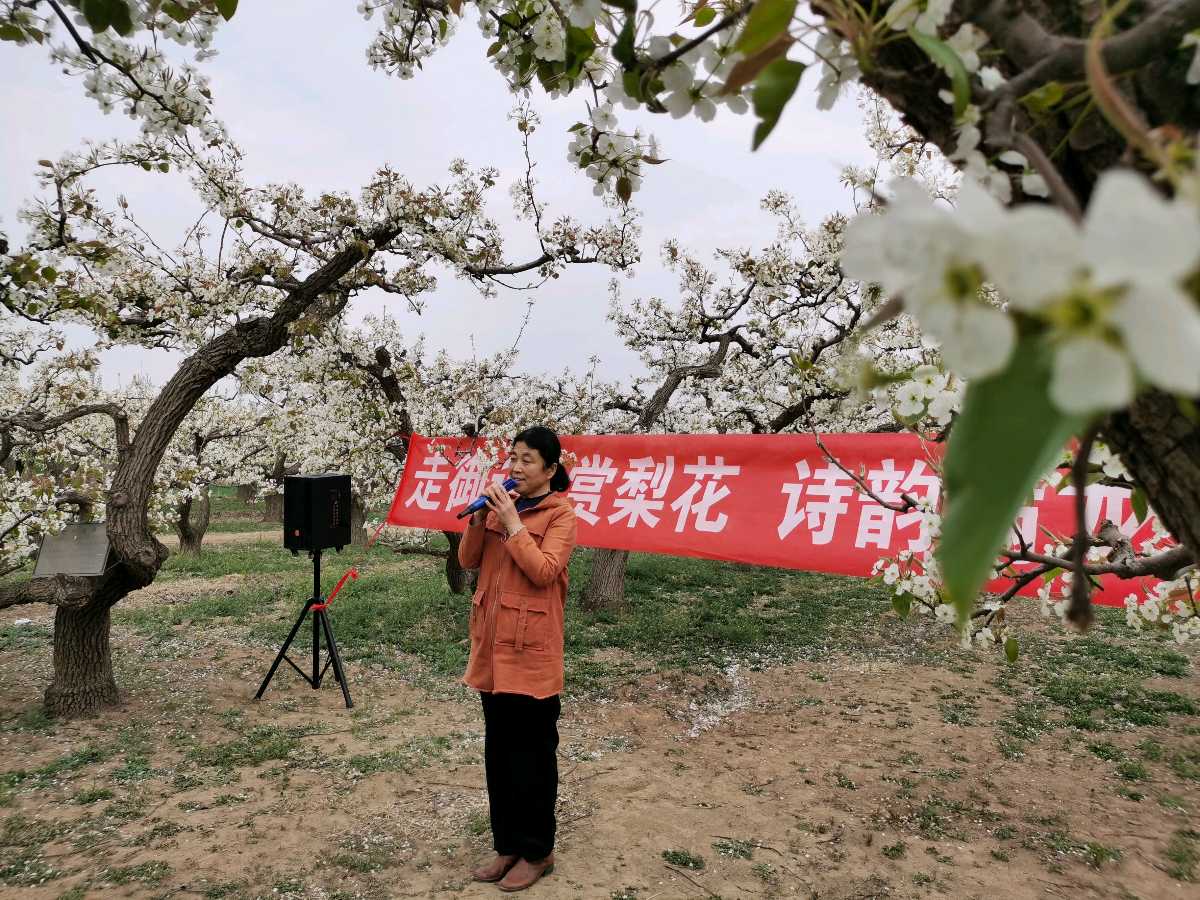 特刊：古梨园赏花-中华诗经阁采风团诗联｜视频｜图片集锦（图12）