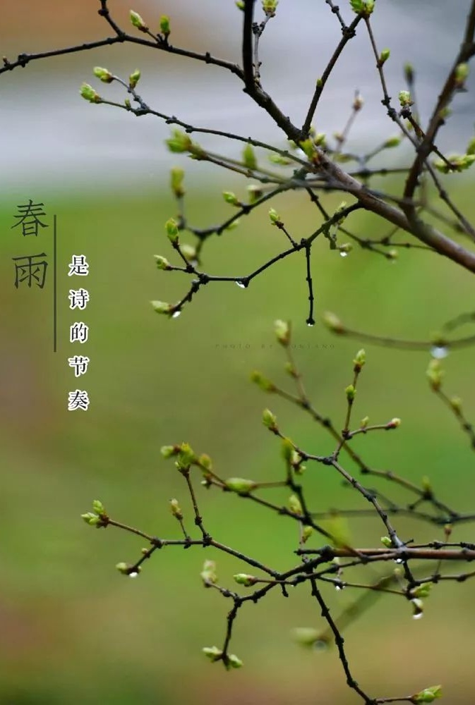 四月，安暖自若～诗||马文同（图9）
