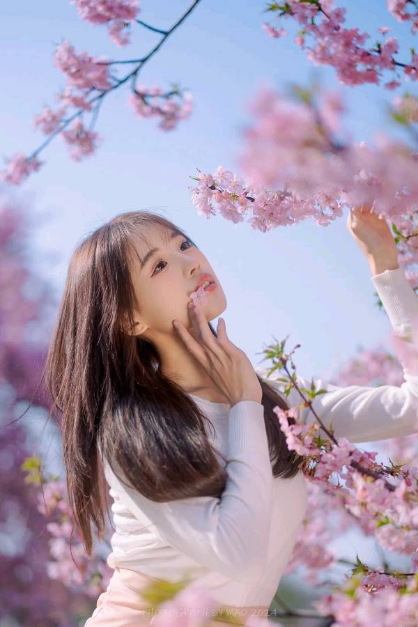 【诗词鉴赏】七绝•赏油菜花（外一首）作者/杜文（图4）