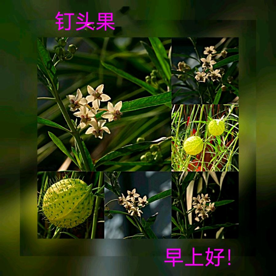 联机全球发布马洪武作品欣赏（图109）