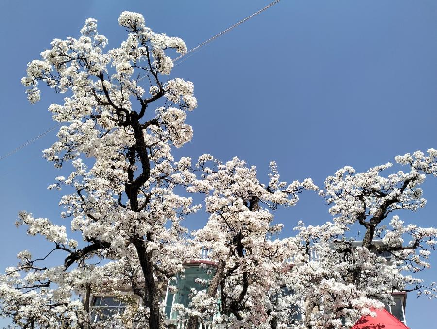 【都市头条向幸福出发编辑部】第11099期 纪念一代文宗纪晓岚(图6)