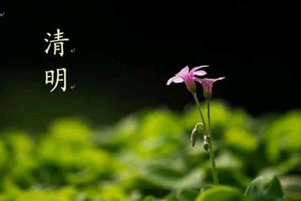 三人行2024第十六期诗刊—北京头条(图16)