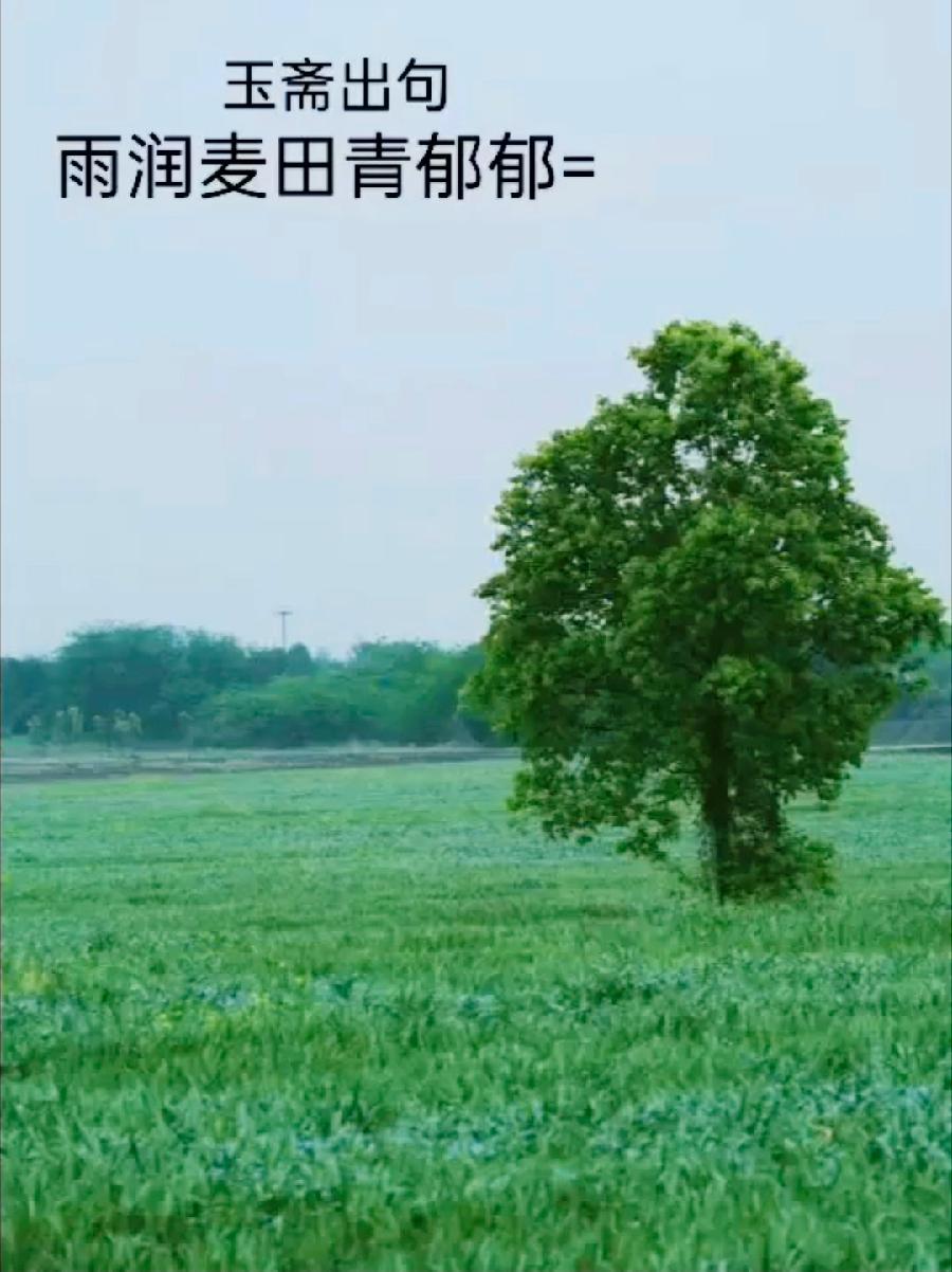 【都市头条向幸福出发编辑部】第11100期 云霞群诗联园地 创刊号(总编 刘玉斋)(图3)