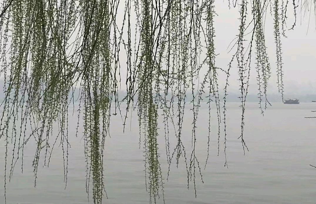 来洛阳上一堂文化课（图3）