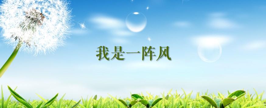 【新山东文学社】《如果我是一阵风》作者/追梦 主播/天空（图3）