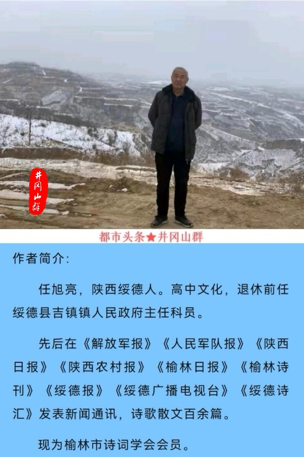 【小石调.青杏儿】诗韵杏花礼赞榆阳～曲||任旭亮（图21）