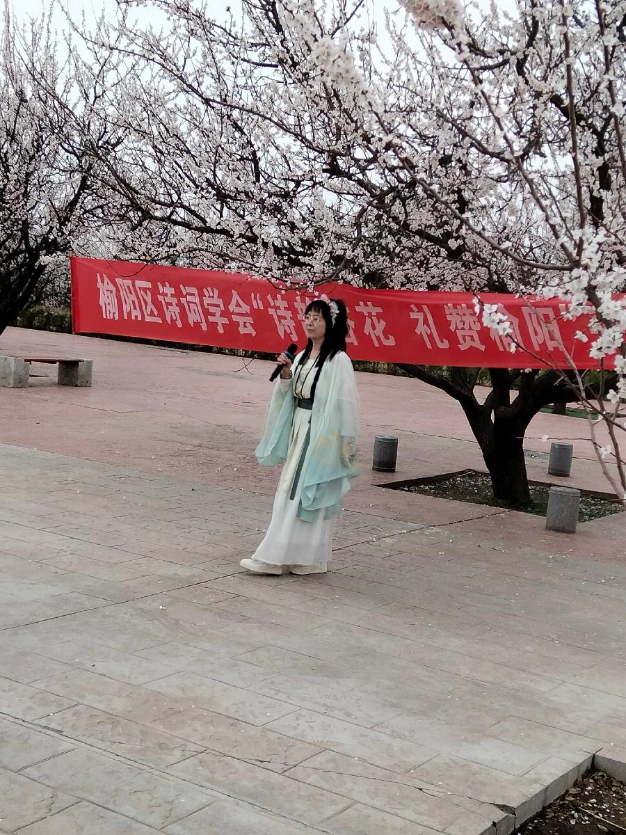 【小石调.青杏儿】诗韵杏花礼赞榆阳～曲||任旭亮（图18）