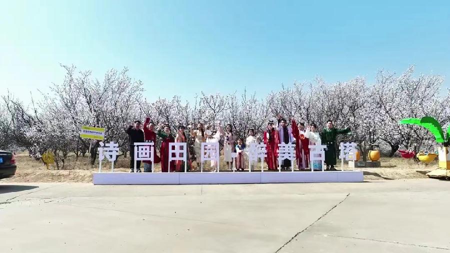 【小石调.青杏儿】诗韵杏花礼赞榆阳～曲||任旭亮（图14）