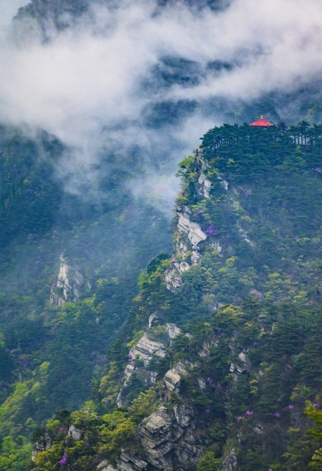 七绝-夜宿庐山(组合)诗||白小文(图8)