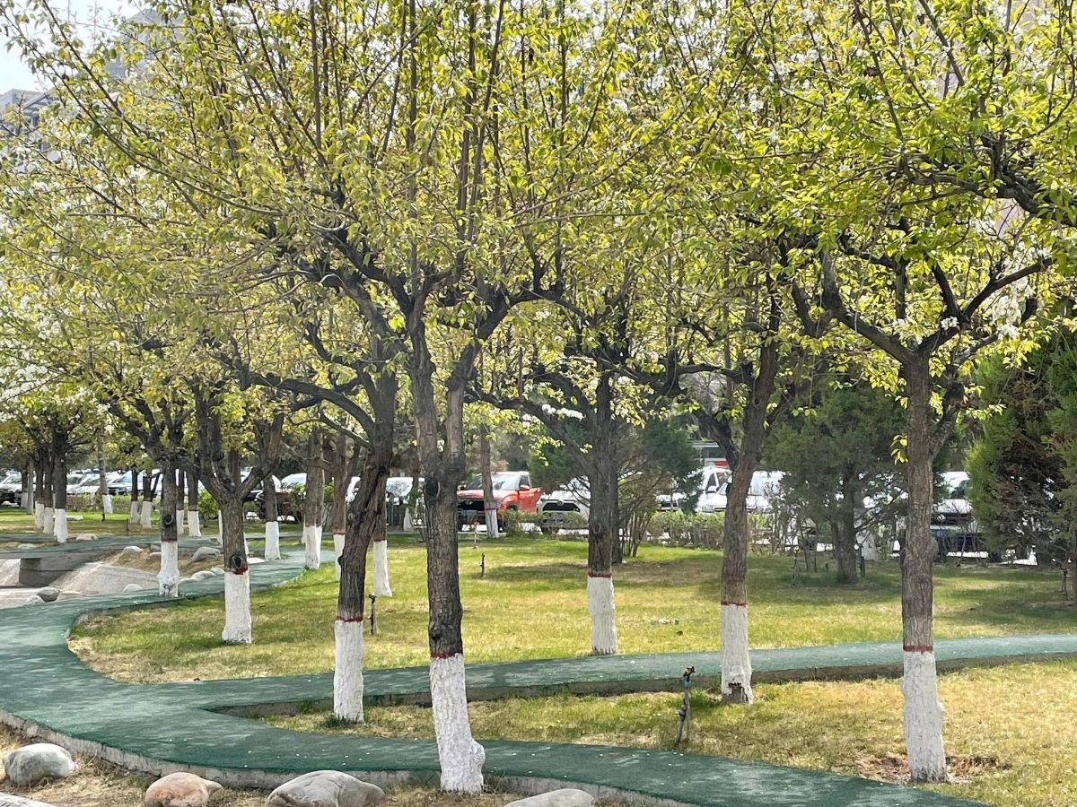 原创首发【1010期】【墨海文香】内蒙古赤峰市【都市头条】原创音频【弘扬国学】（图210）