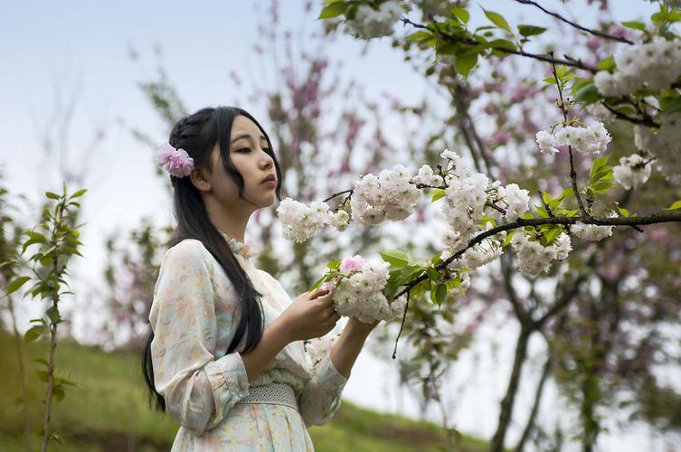 【美文推荐】梨园倚仙梦 文\莫柔(图3)
