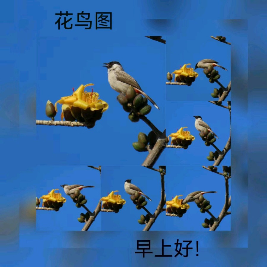 联机全球发布马洪武作品欣赏（图108）