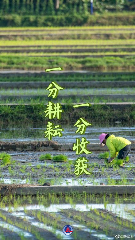 《现代古诗七律》作者:刘文波。配音:《诗画加音乐》。[中国现代诗歌文化传媒]（图15）