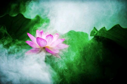 《春风吻上我的脸》作者:田歌。配音:《诗画加配音》。[中国现代诗歌文化传媒]（图7）
